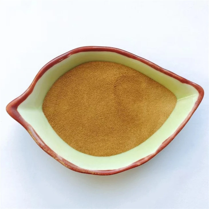 Sodium Polynaphthalene Sulfonate SNF Superplasticizer Sodium Polynaphthalene Sulfonate SNF Superplasticizer
